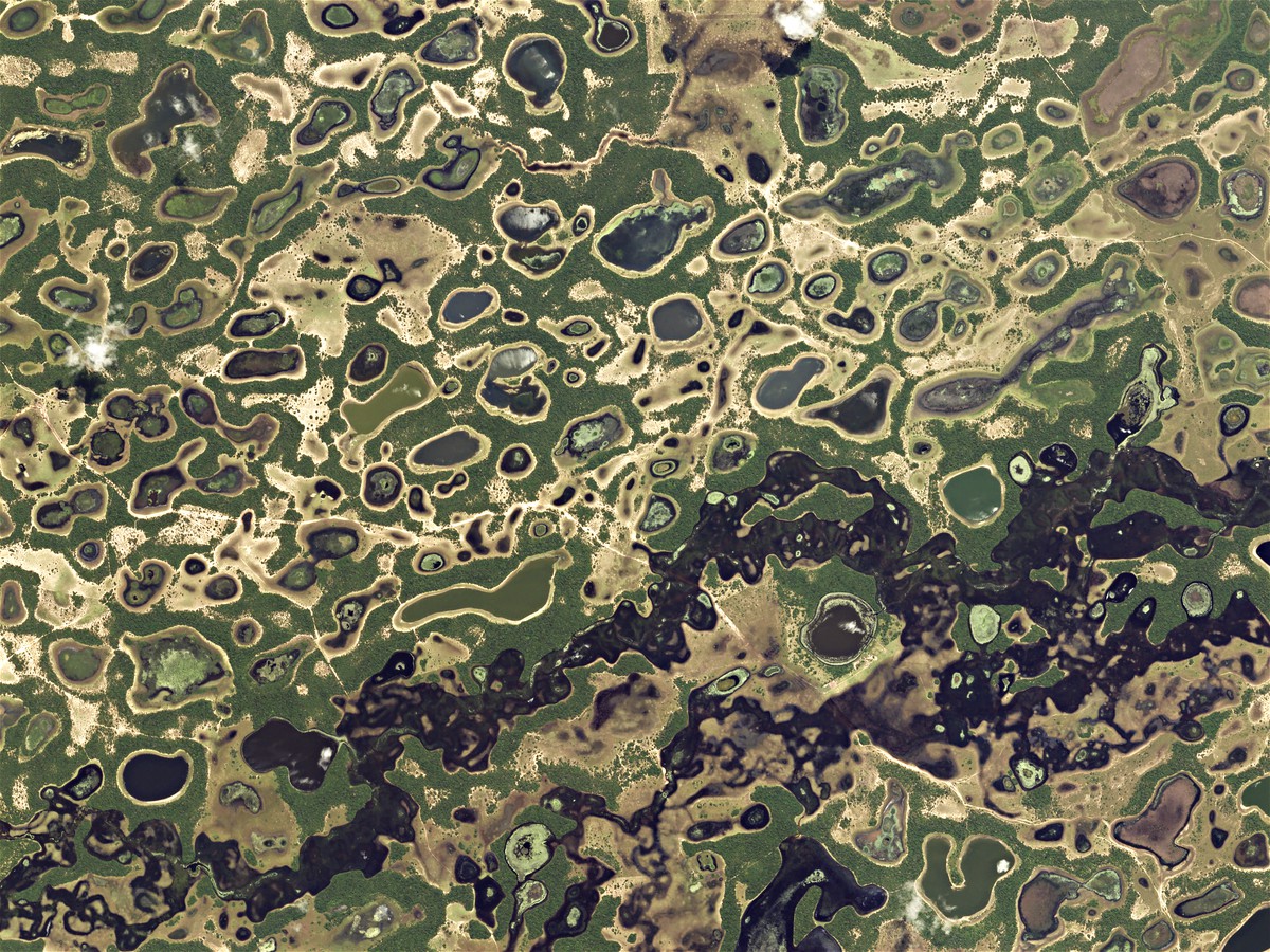 pantanal-brazil-web.jpg